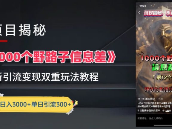 一千个野路子信息差24年最新玩法教程附带变现方法和引流的玩法具体拆解